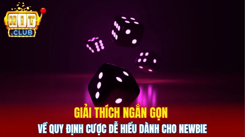 Giải thích ngắn gọn về quy định cược dễ hiểu dành cho newbie